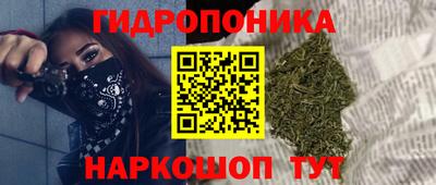 стаф Бийск