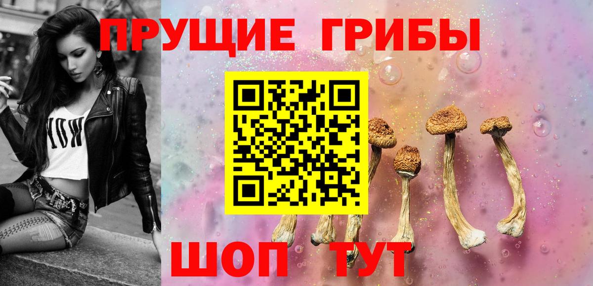 Галлюциногенные грибы Cubensis Киселёвск