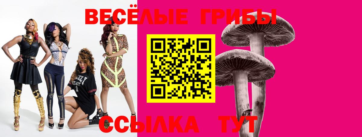 Псилоцибиновые грибы Magic Shrooms  дарнет шоп  Киселёвск  Вход с VPN 